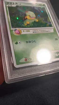 Turtwig PSA 10 - 001/PPP - Holo - Fan Club 2000 Exp Pts Promo -Japanese- Pokemon - Image 4