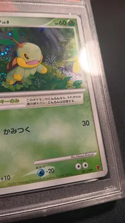 Turtwig PSA 10 - 001/PPP - Holo - Fan Club 2000 Exp Pts Promo -Japanese- Pokemon - Image 5