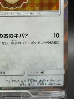 Flareon Poncho Wearing Eevee 139/SM-P 2017 Promo Japanese Ver Pokemon Cards VG 3 - Image 5