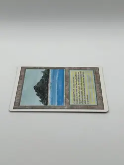 Tropical Island - Revised Edition - MTG - Image 3