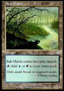 Salt Marsh - Medium Play MTG Invasion - Image 1