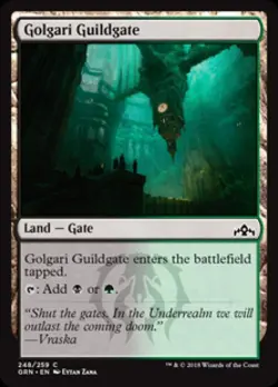 Golgari Guildgate (248) - Near Mint MTG Guilds of Ravnica - Image 1