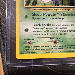 Jumpluff 7/111 Holo Rare Vintage Pokemon Card Neo Genesis MP - Image 3