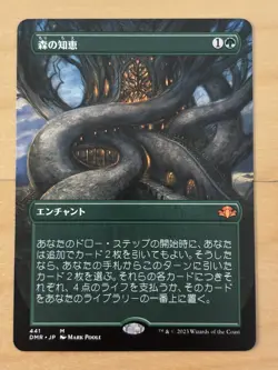 MTG Magic The Gathering Sylvan Library Japanese Borderless Full Art - Image 1
