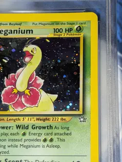 Meganium 11/111 1st Edition Swirl Holo Rare Neo Genesis Pokemon Tcg NM-MT - Image 3