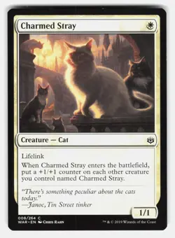 CHARMED STRAY - Magic: The Gathering - Rahn LP - Image 1