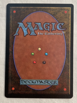 1x Savannah Lions Revised Edition MTG Magic the Gathering NM - Image 2