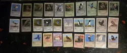Live TCG 2025 Big Lot - Birds - o 60 Cards - Image 2