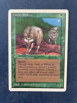 MTG UNLIMITED EDITION TIMBER WOLVES MAGIC THE GATHERING RARE GREEN CREATURE - Image 1