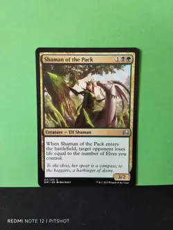 Shaman of the Pack / Schamanin des Rudels - MTG Magic - Image 1