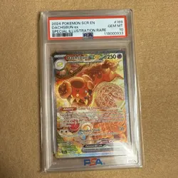 Dachsbun EX - 169/142 - Stellar Crown - English - Pokemon TCG - PSA 10 - Image 1