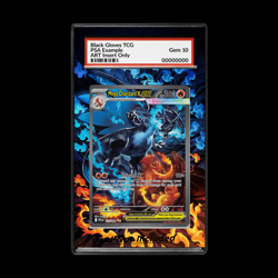 Mega Charizard X ex 125/094 Me02: Art Insert for PSA / Graded Guard No Card - Image 1