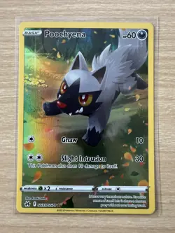 Pokemon Card Poochyena GG33/GG70 Galarian Gallery Crown Zenith - NM / M - Image 3
