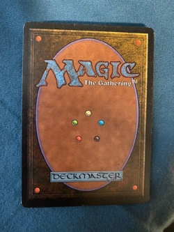 Dandan, Arabian Nights, MtG, Never Played -NICE - Image 4