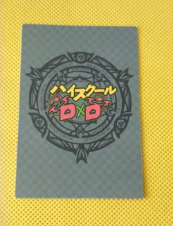 Kuroka Morning Pool High School DxD Goddess Waifu Anime ACG TCG custom card - Image 2