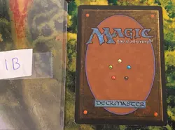 TROPICAL ISLAND - REVISED - MTG MAGIC THE GATHERING LIGHT PLAY - Image 4