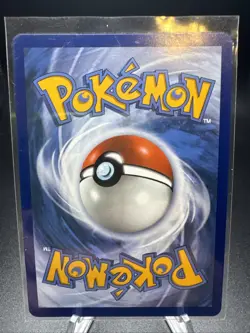 Squirtle - 039 Black Star Promo - First Partner Illustration Collection Pokemon - Image 2