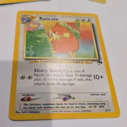 7 Southern Island cards, ND holo Hondour, NR Celebi and holo Suicune. - Image 4
