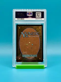 PSA 9 - MTG Spider-Man, EN, Spectacular Spider-Man, Foil - Image 2