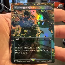 Waterlogged Grove (Borderless) Universes Beyond: Assassin's Creed Foil NM 116 - Image 1