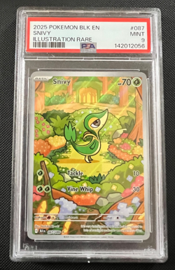 Pokemon Snivy Black Bolt 087/086 Illustration Rare PSA 9 - Image 1