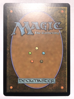 Mystifying Maze 226/249 M11 Core Set 2011 M11 MTG Magic the Gathering NM - Image 2