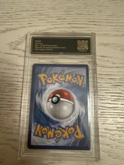 Perrin 220/167 Twilight Masquerade PCG Gem Mint 10 Pokemon - Image 4