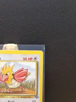 Pokemon TCG 1999 WOTC Jungle 1st Edition Spearow 62/64 - Near Mint - Image 4