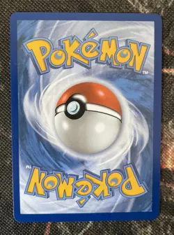 Houndstone 145/132 - Pokemon TCG Illustration Rare Card - Mega Evolution - Image 2