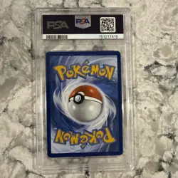 2025 Pokemon SVP EN Eevee EX PRE Super-Premium Collection Black Star Promo PSA10 - Image 5