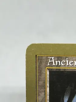 Ancient Tomb - 1999 Mark Le Pine (TMP) World Championship Decks LP - Image 3