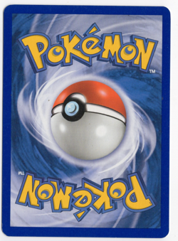 Potion 91/109 Pokemon Ruby & Sapphire Pokemon Card - Image 2