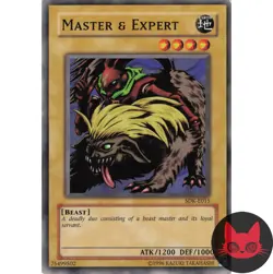 Yugioh Master & Expert SDK-E015 Common LP - Image 1