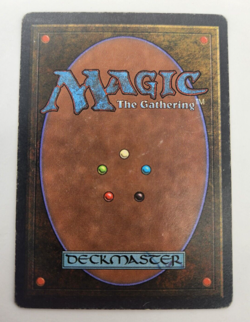 MTG Wyluli Wolf Arabian Nights Magic the Gathering MP-HP - Image 2