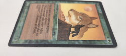 MTG Wyluli Wolf Arabian Nights Magic the Gathering MP-HP - Image 4