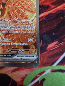Pokemon TCG Dachsbun Ex 169/142 Special Illustration Rare Stellar Crown English - Image 4