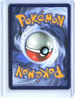 SWSH002 Scorbunny Promo Holo Trading Card - Pokemon TCG 2019 Ungraded - Image 2