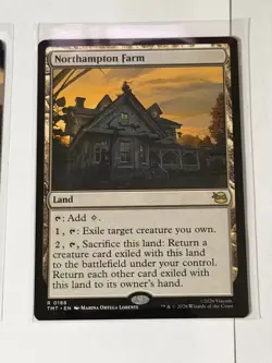 Northampton Farm Teenage Mutant Ninja Turtles 188 - Image 1