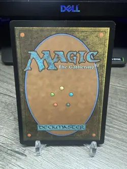 MTG Splinter of the Shadows (Borderless) Teenage Mutant Ninja Turtles REGULAR - Image 2