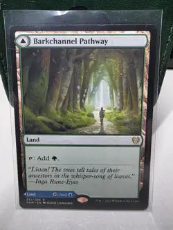 MTG - NM -Barkchannel Pathway / Tidechannel Pathway - Kaldheim - Image 1