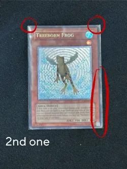 Yu-Gi-Oh! TCG Treeborn Frog Ultimate Rare x 2 - Image 3