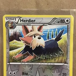 REVERSE HOLO Herdier 109/146 NM - XY Pokemon Card - Tomokazu Komiya Art - Image 3