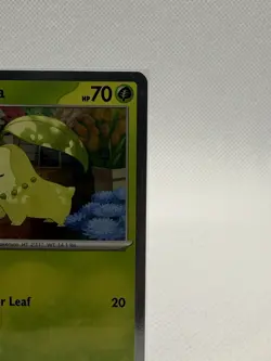 Chikorita MEP Black Star Promo 069 Perfect Order NM Pokemon TCG - Image 2