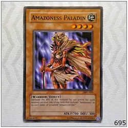 Amazoness Paladin - MFC-059 - Common Unlimited Yugioh - Image 1