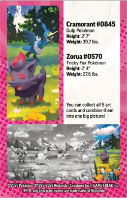 Pokemon TCG: Mega Evolution—Ascended Heroes Mini Tin: Zorua & Cramorant - Image 2
