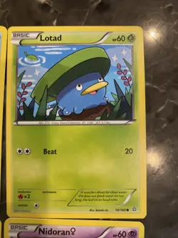 Pokemon 2015 Primal Clash 4 Cute Cards Spheal Lotad Torchic Nidoran - Image 5