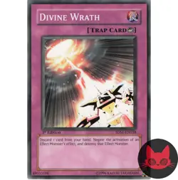 Yugioh Divine Wrath 5DS1-EN038 Common 1st Edition LP - Image 1