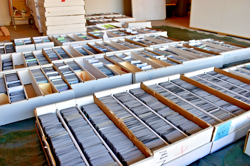 MTG 1000 Card bundles! Classic mix! C/UC/Rare Foil Promos Instant Collection Lot - Image 2