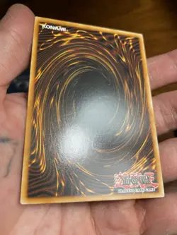 Yu-Gi-Oh! Yum Yum Yummys Super Rare DOOD-EN067 1st Edition - Image 5