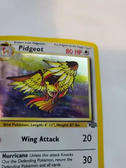 Pidgeot Jungle Set Holo Pokemon Card Base WOTC - Image 4